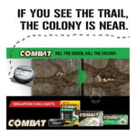 Combat Insect Bait Strips - Ant Killer - Image 3